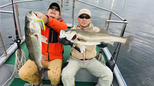 シーバス(スズキ)