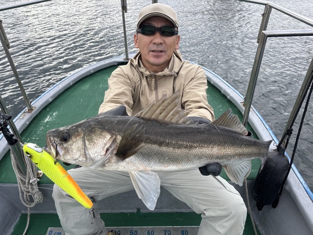 シーバス(スズキ)