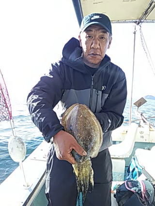 モンゴウイカ(カミナリイカ)