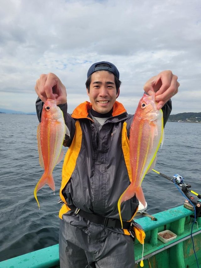 イトヨリ(イトヨリダイ)