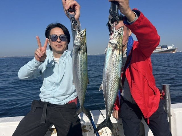 サワラ・サゴシ(サワラ)