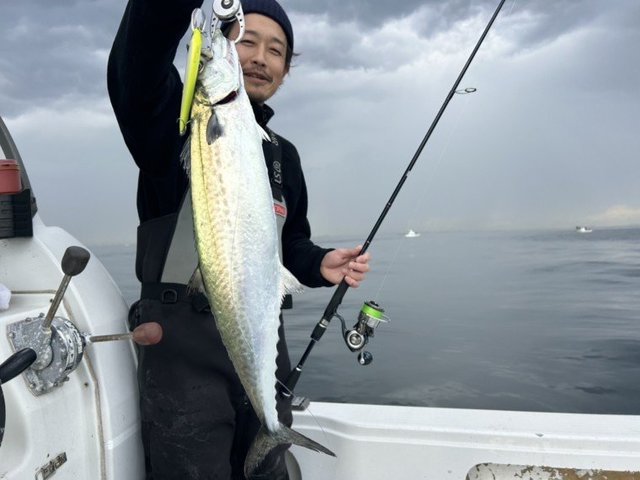 サゴシ(サワラ)