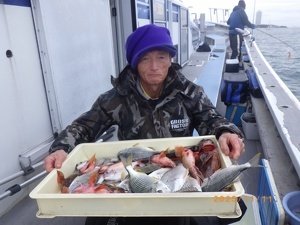 タイ(マダイ)・ヘダイ・カサゴ