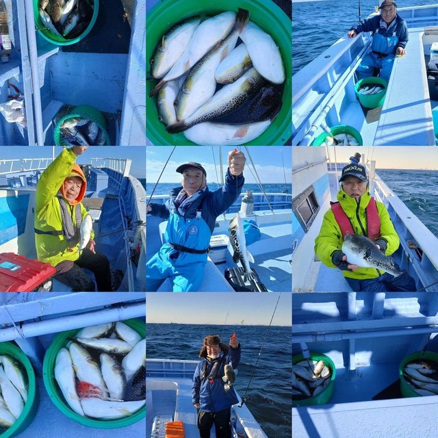 ショウサイフグ