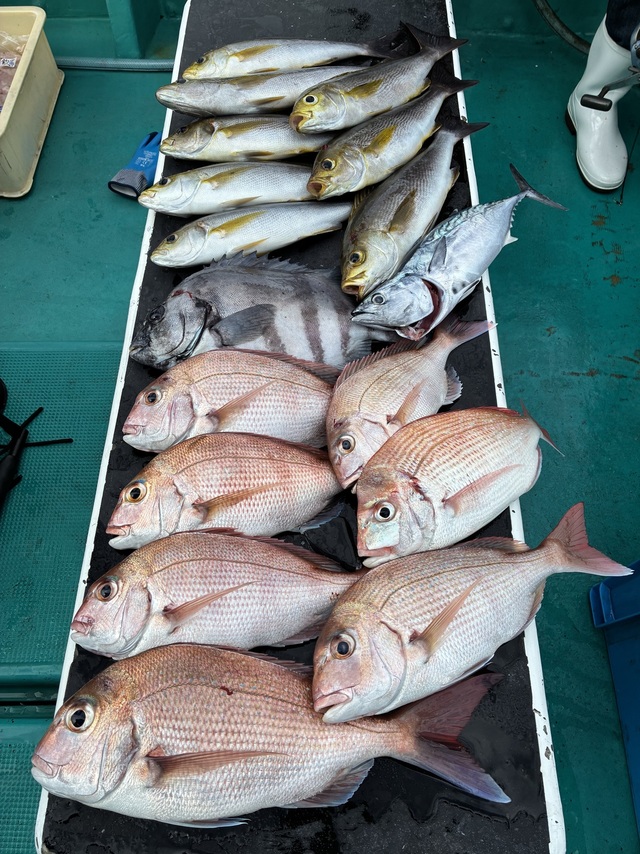 マダイ・イシダイ