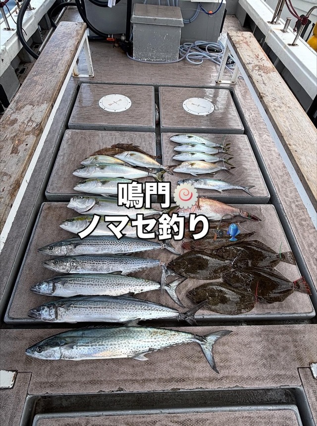 メジロ(ブリ)・サワラ・ヒラメ