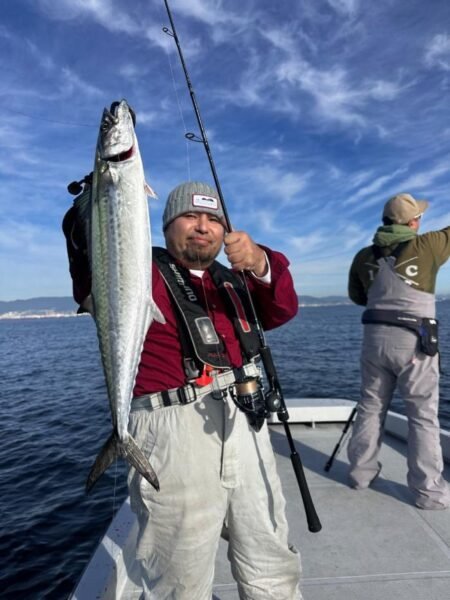 サゴシ(サワラ)