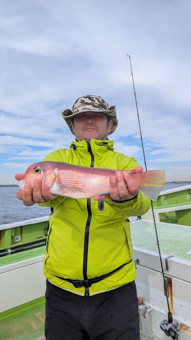 アマダイ(アカアマダイ)