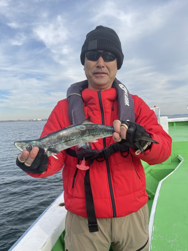 サゴシ(サワラ)