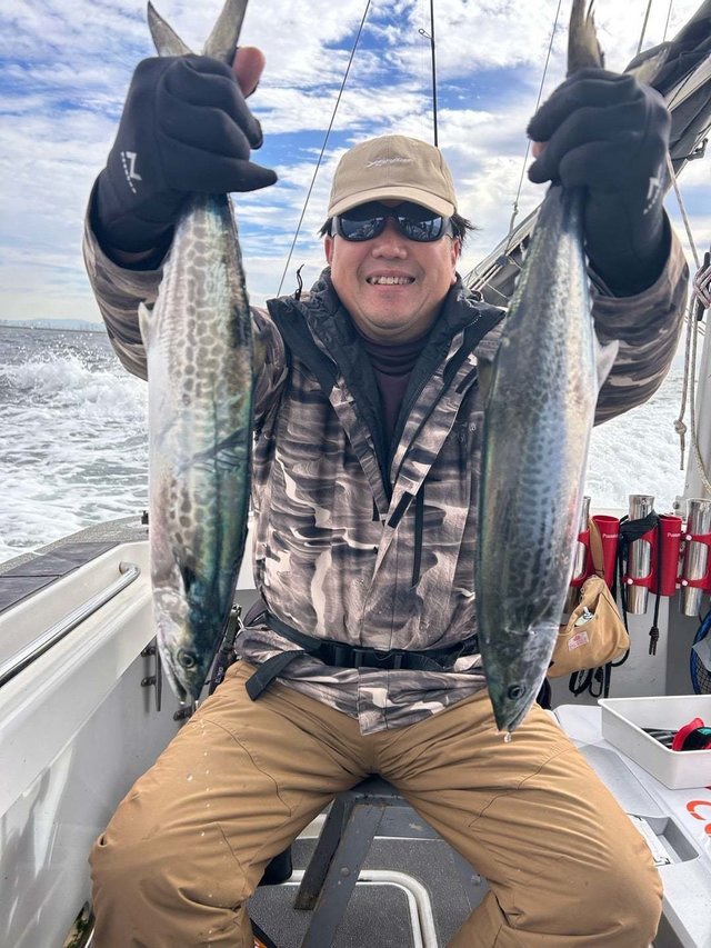 サゴシ(サワラ)