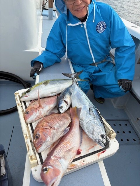 マダイ・イナダ(ブリ)・アマダイ(アカアマダイ)・ヒラソーダ(ヒラソウダ)