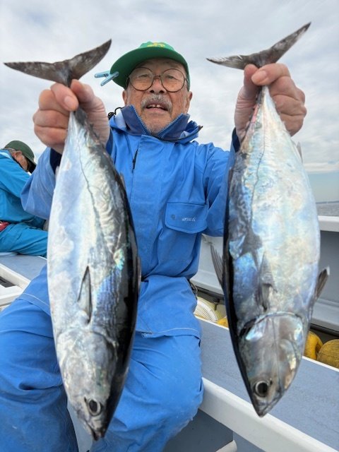 ヒラソーダ(ヒラソウダ)