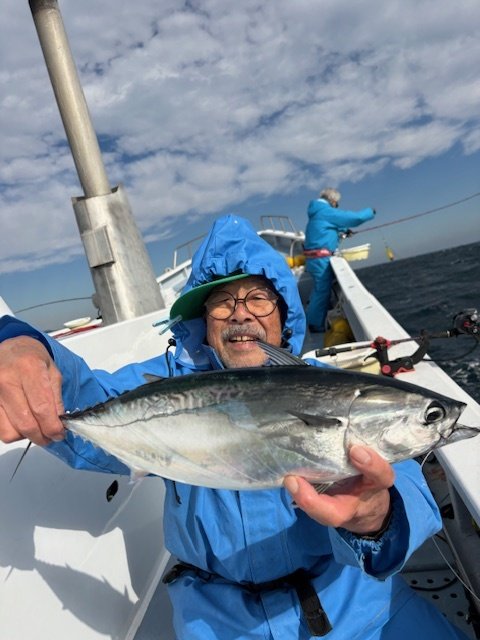 ヒラソーダ(ヒラソウダ)