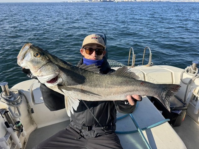 シーバス(スズキ)