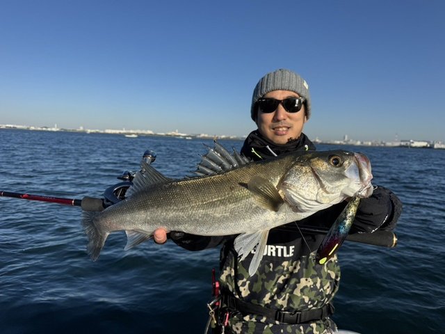 シーバス(スズキ)