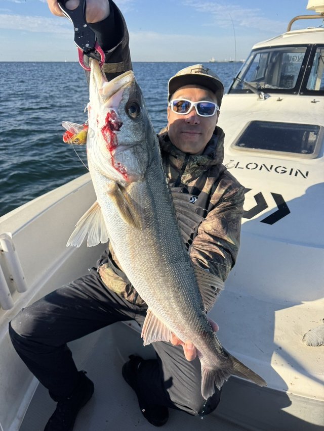 シーバス(スズキ)