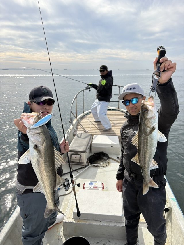 シーバス(スズキ)