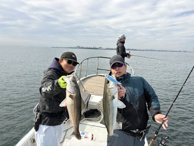 シーバス(スズキ)