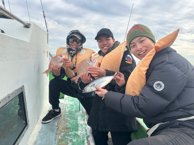 ハナダイ(チダイ)