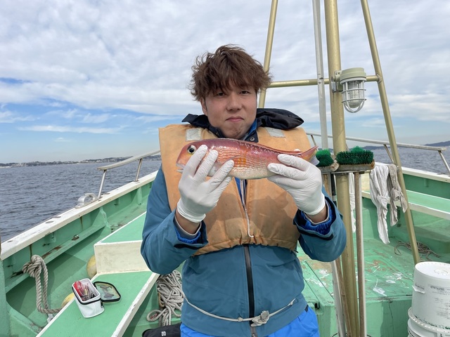 アマダイ(アカアマダイ)