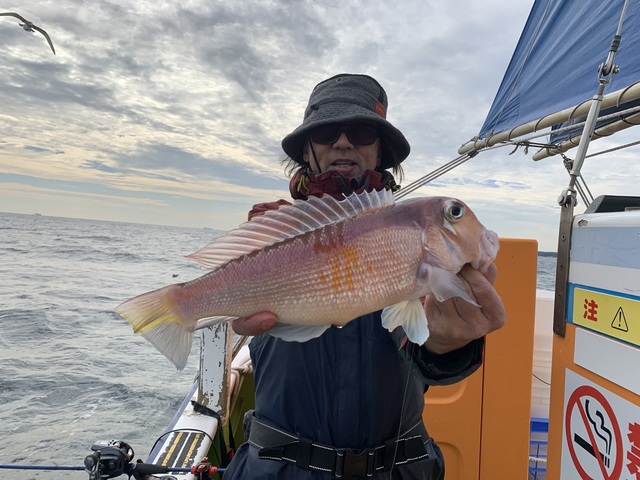 アマダイ(アカアマダイ)