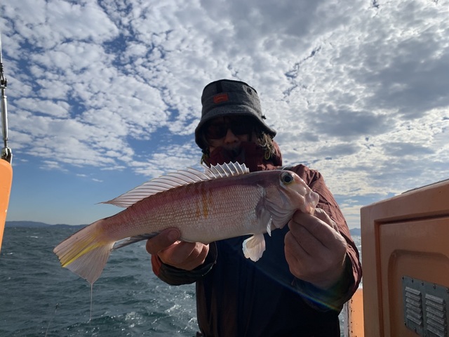 アマダイ(アカアマダイ)