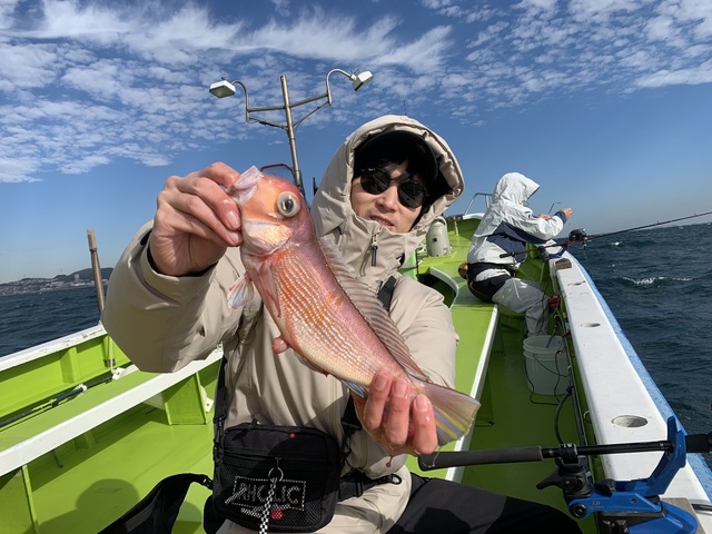 アマダイ(アカアマダイ)