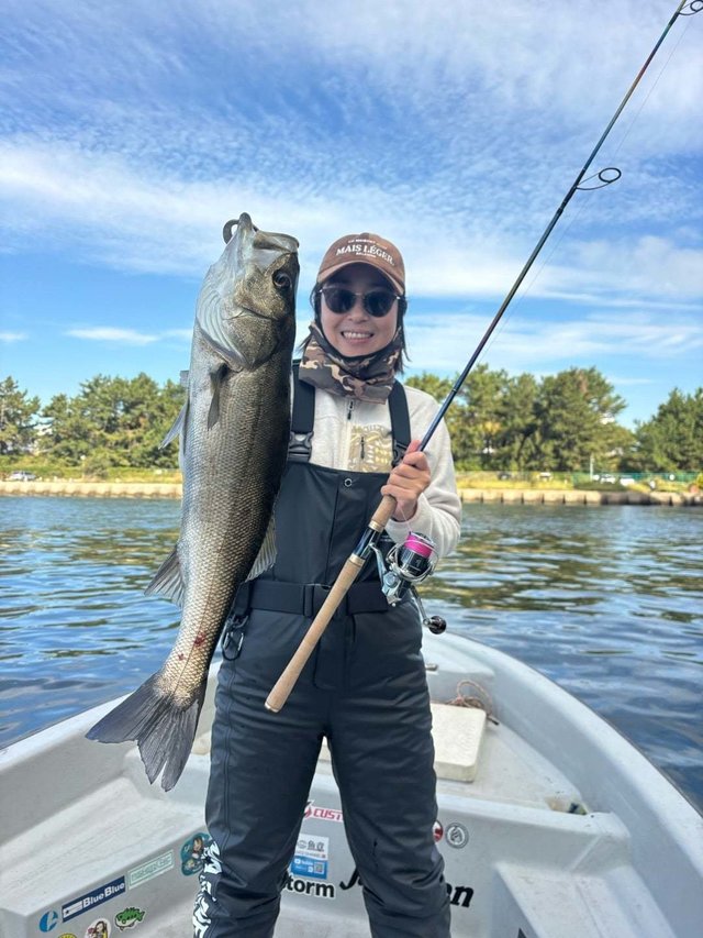 シーバス(スズキ)