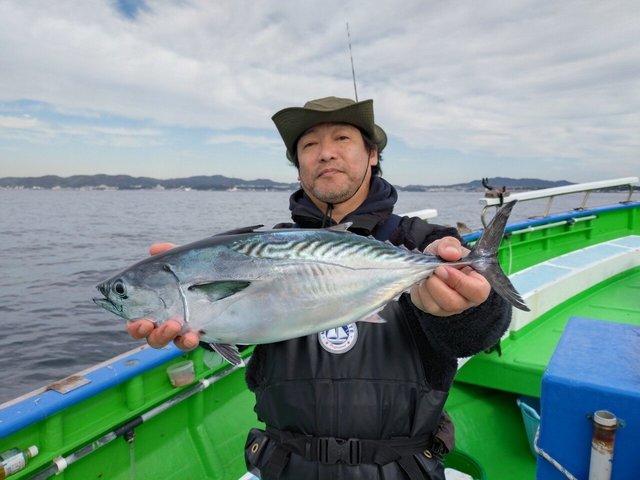 スマガツオ(スマ)