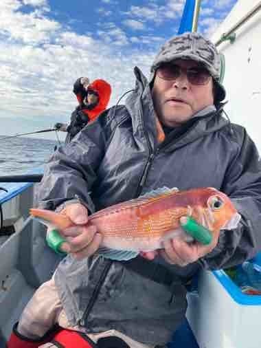 アマダイ(アカアマダイ)