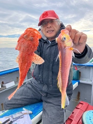 アマダイ(アカアマダイ)・オニカサゴ