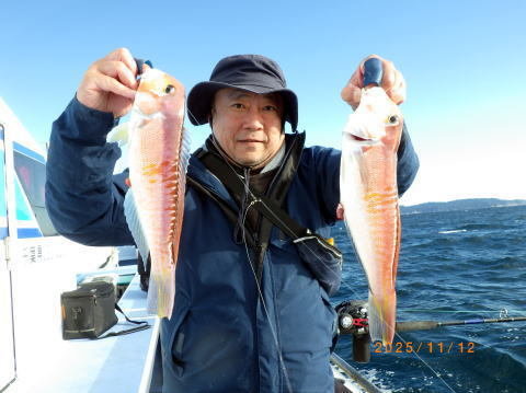 アマダイ(アカアマダイ)