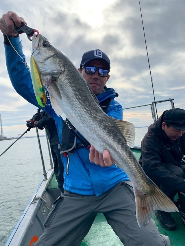 シーバス(スズキ)