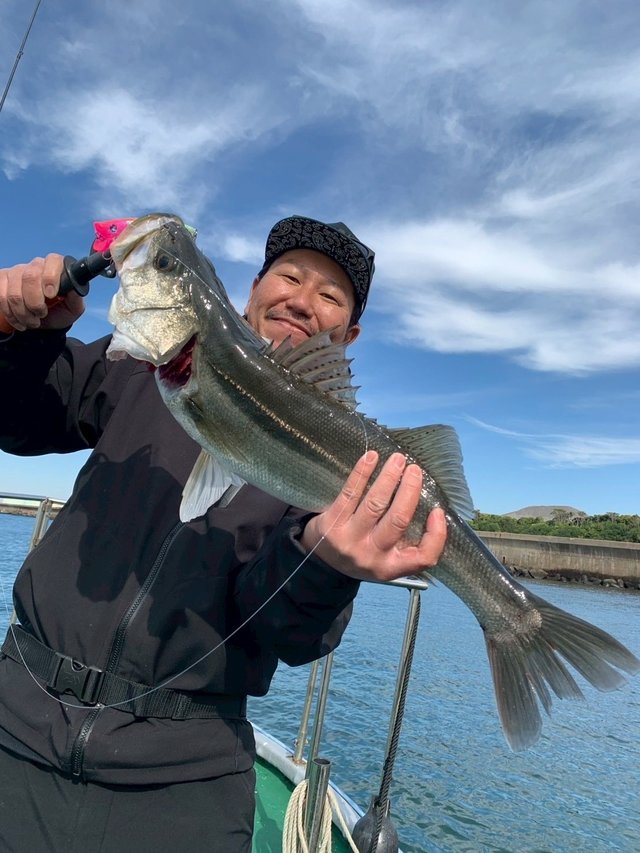 シーバス(スズキ)