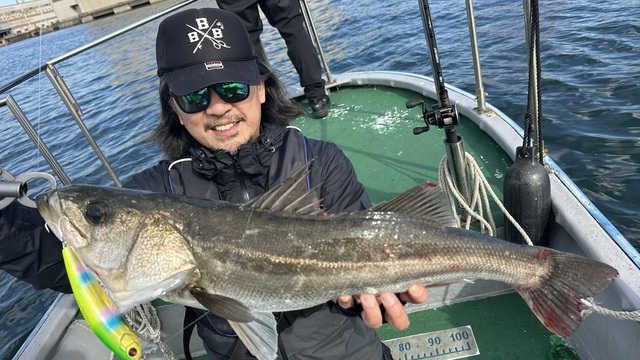 シーバス(スズキ)