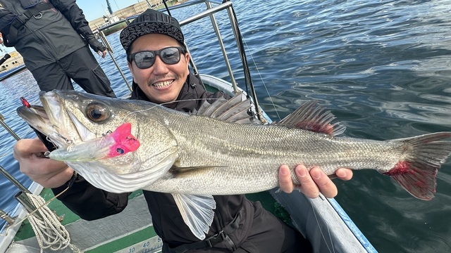 シーバス(スズキ)