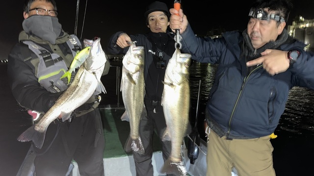 シーバス(スズキ)