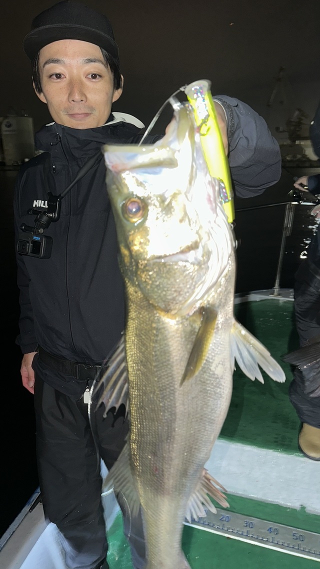 シーバス(スズキ)