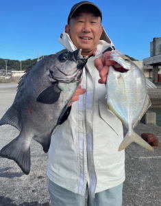 イシダイ・カイワリ