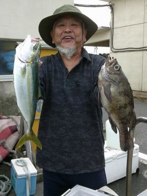 メバル・クロメバル(メバル)