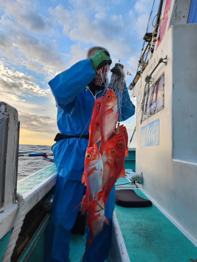 キンメ(キンメダイ)