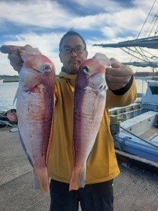 アマダイ(アカアマダイ)