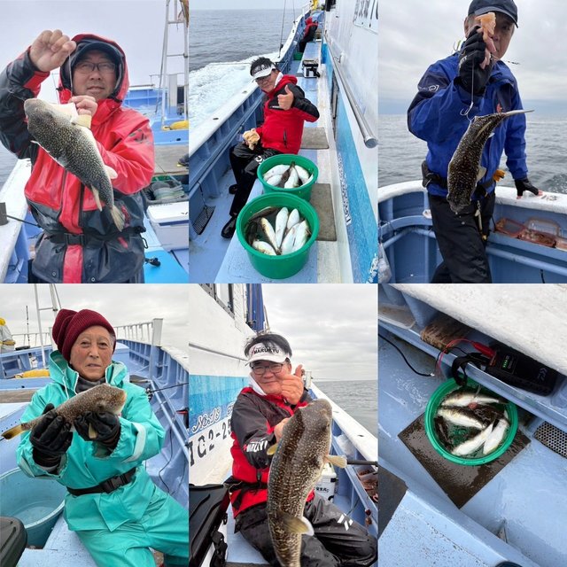 ショウサイフグ