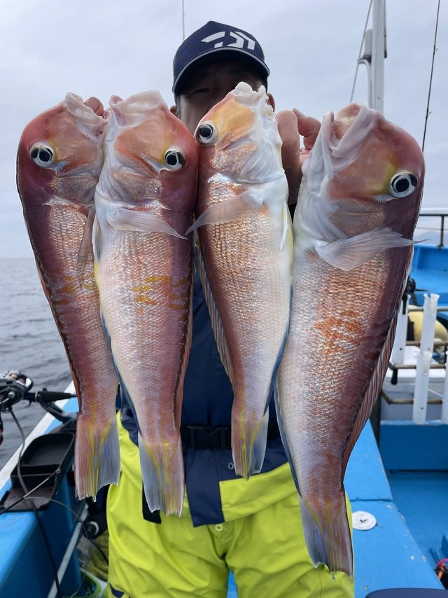 アマダイ(アカアマダイ)