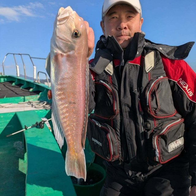 アマダイ(アカアマダイ)