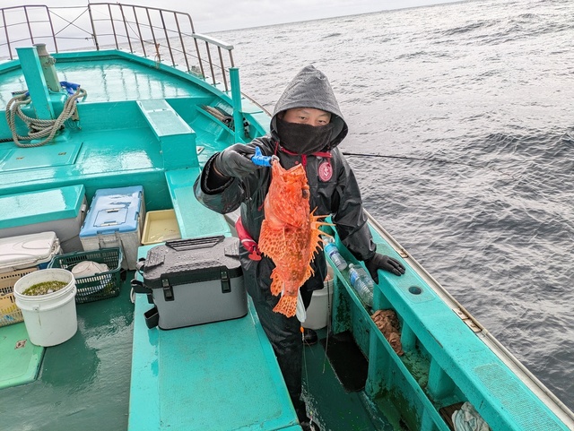 オニカサゴ(イズカサゴ)