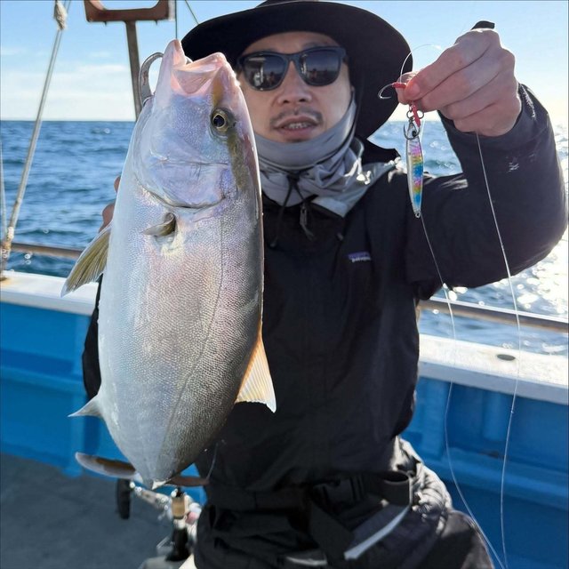 ショゴ(カンパチ)