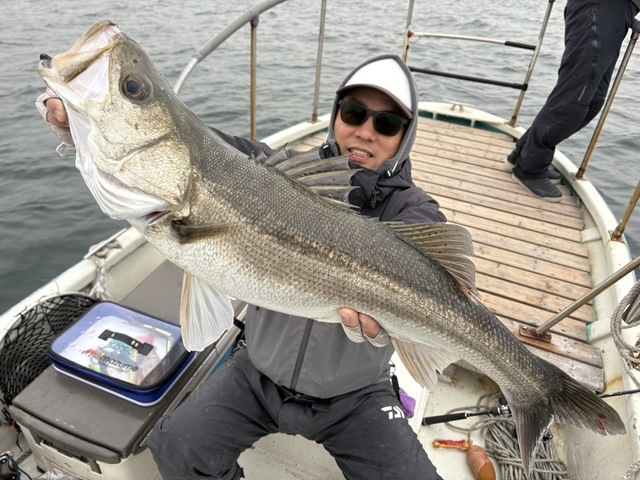 シーバス(スズキ)