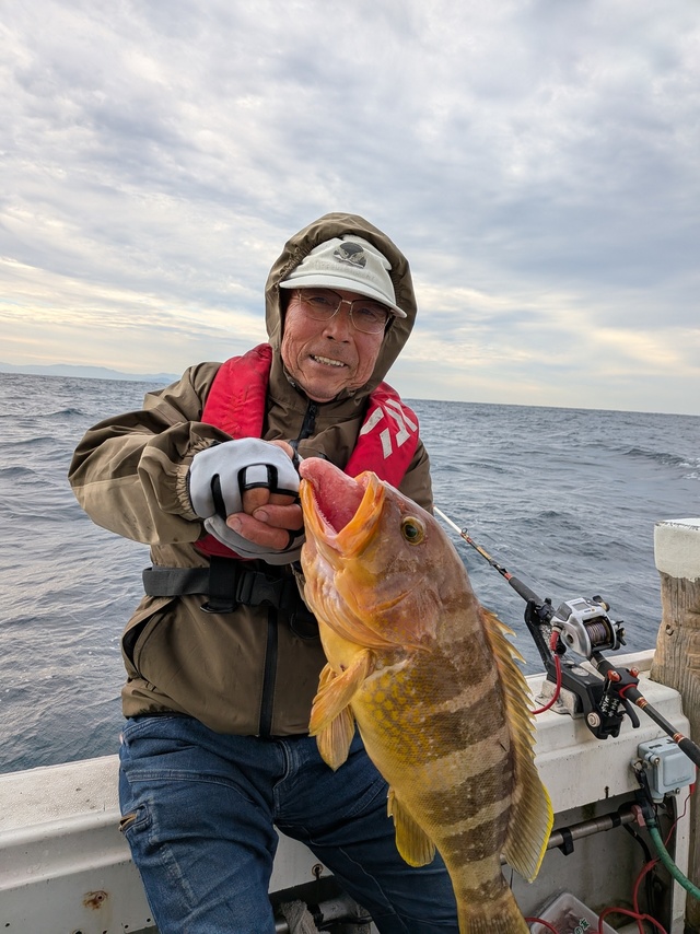 アオナ(アオハタ)