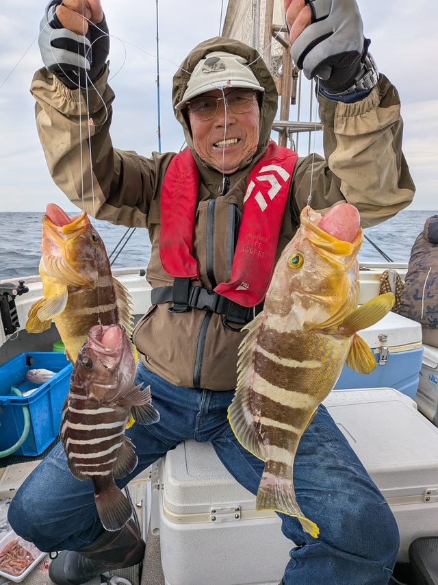 アオナ(アオハタ)